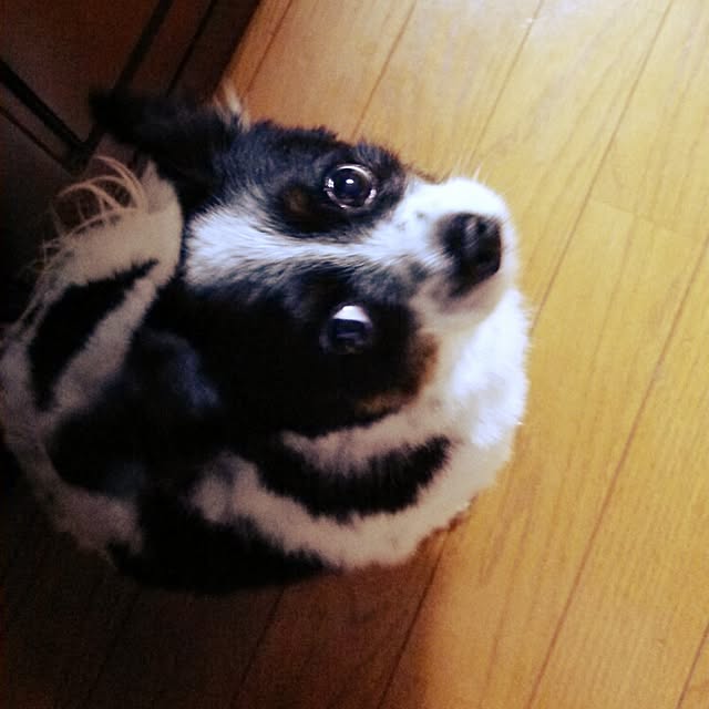 Smileberryさんの実例写真
