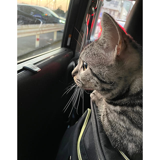 yumiさんの実例写真