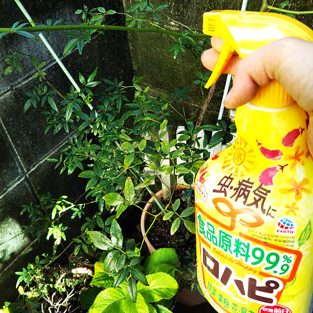 Tirorinさんの実例写真