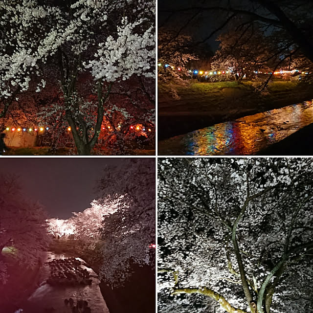実例写真