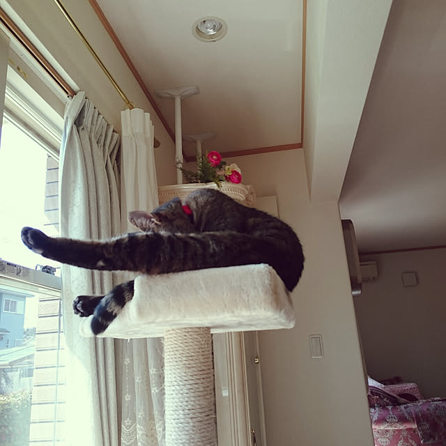 lilyさんの実例写真