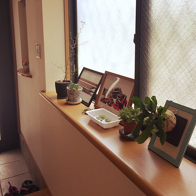 n_ikumiiiさんの実例写真