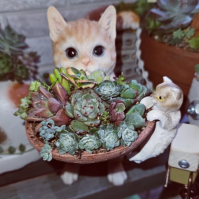 mocomocoさんの実例写真