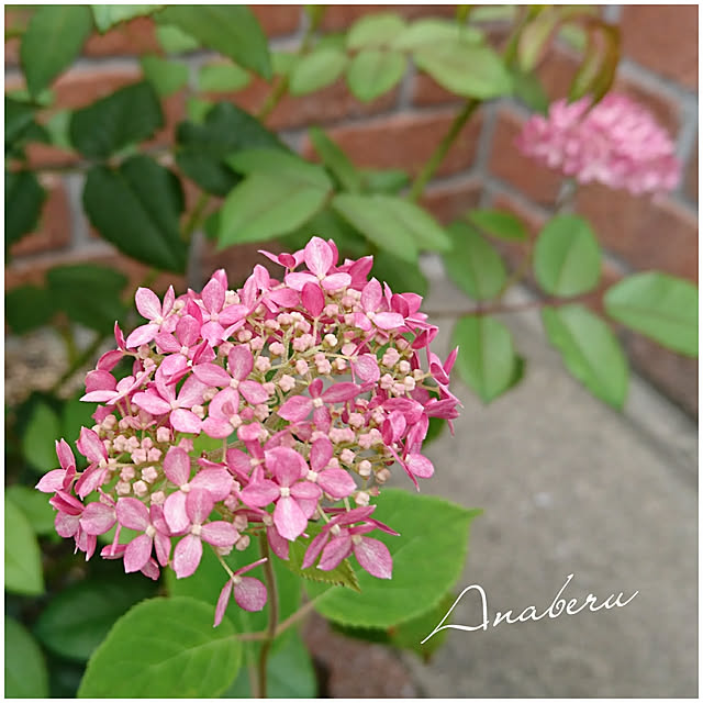 fleur-mamanさんの実例写真