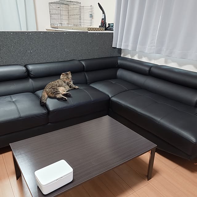 noguriさんの実例写真