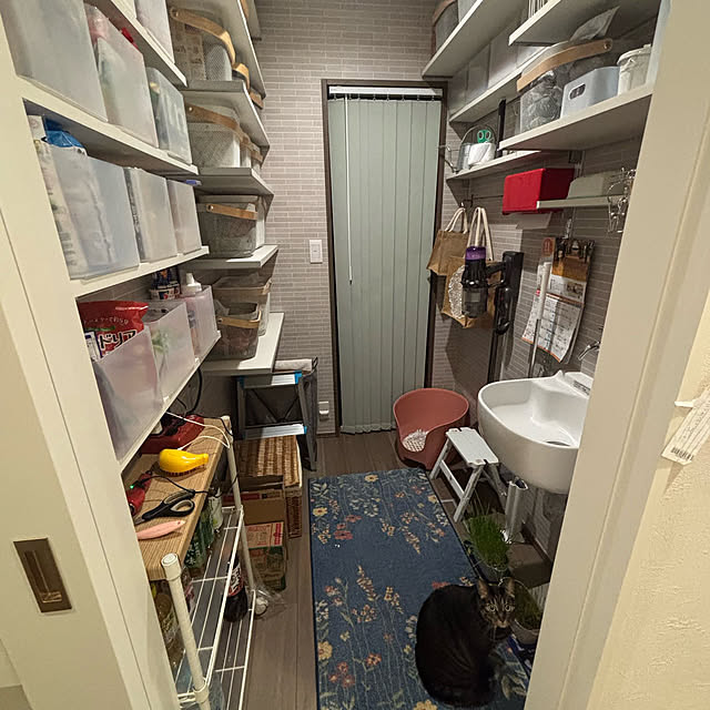 momocchiさんの実例写真