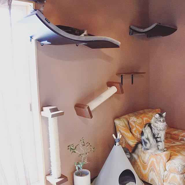 decorameowさんの実例写真