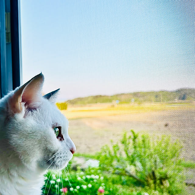 R.さんの実例写真