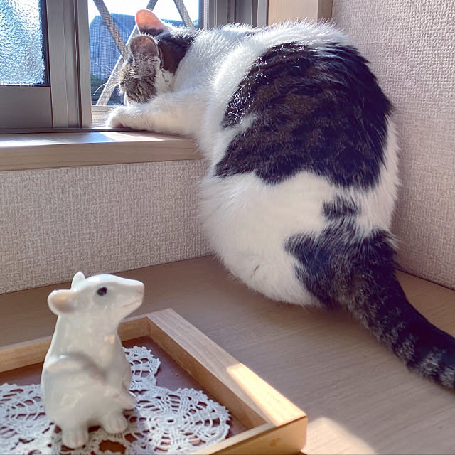yukiさんの実例写真