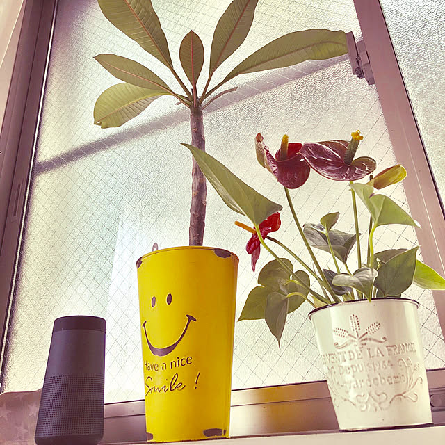 Anela.Smileさんの実例写真