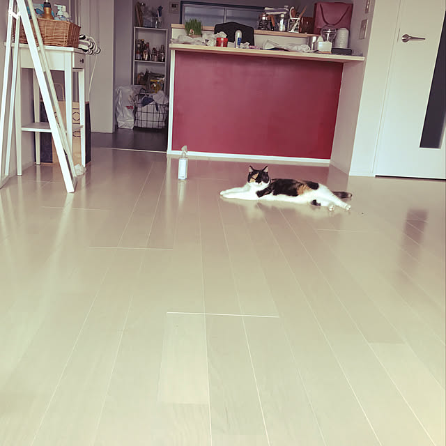 yukokaraguchiさんの実例写真