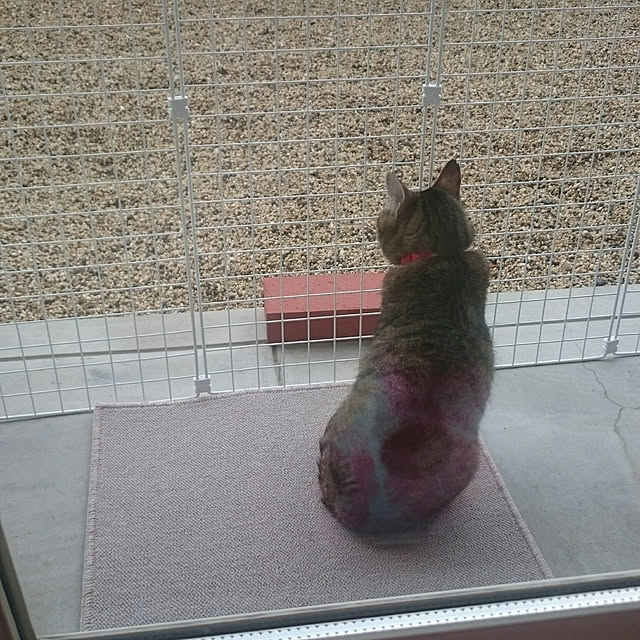 lilyさんの実例写真