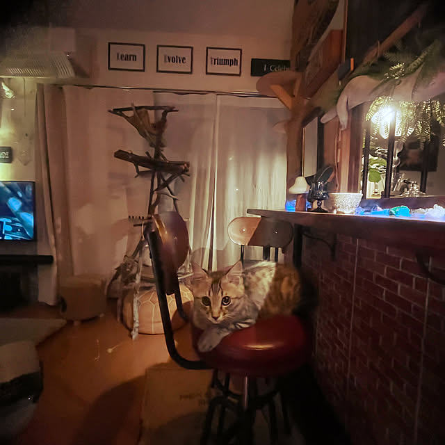 Mさんの部屋
