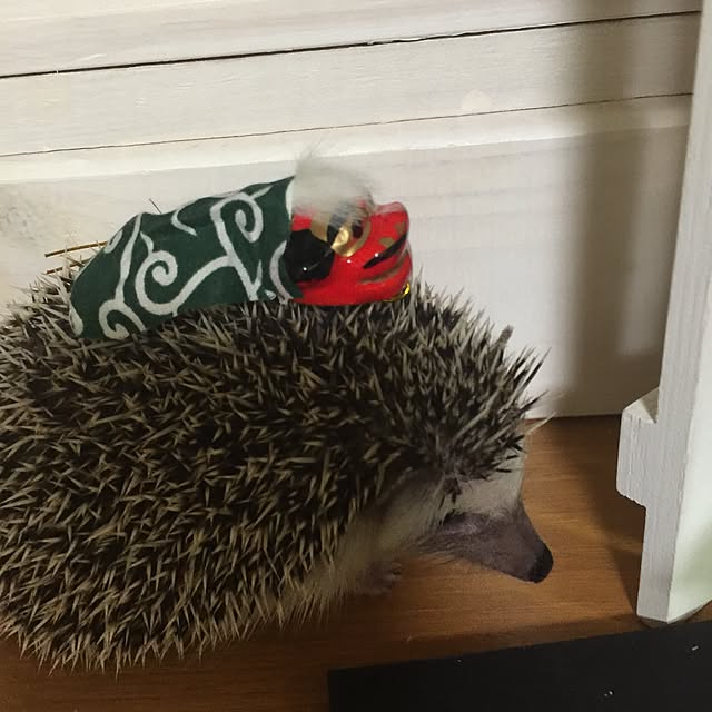 RURULOVEさんの実例写真