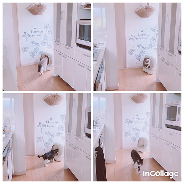 milkcocoaさんの実例写真