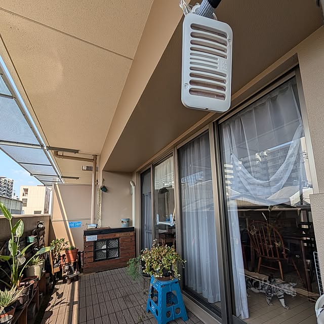 lovepeaceさんの部屋
