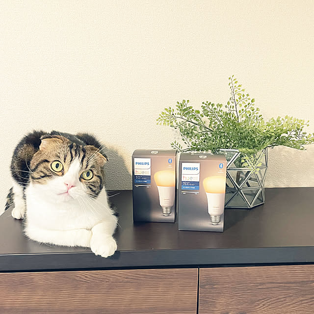 tansukeさんの実例写真