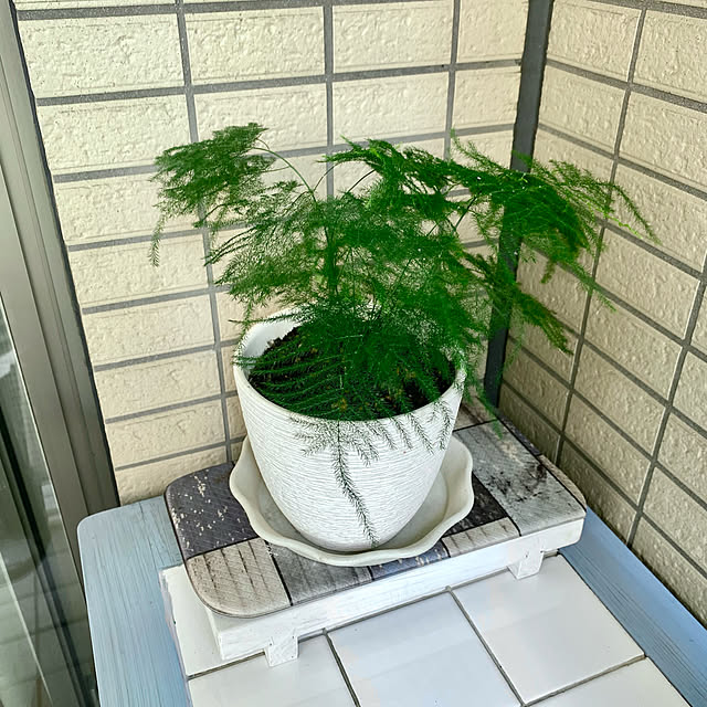 YuuKoさんの実例写真