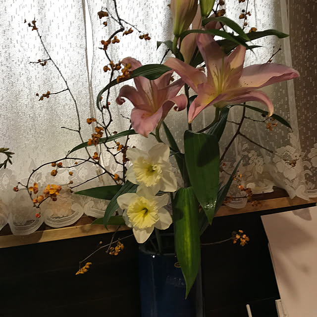 実例写真