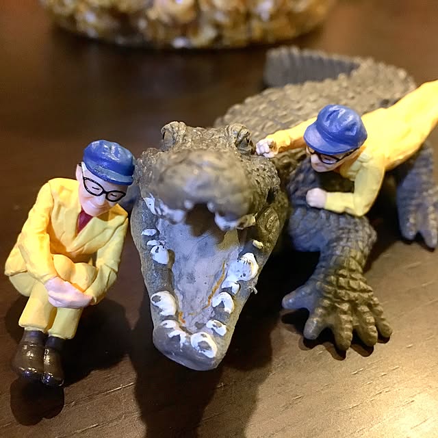 Aiさんの実例写真