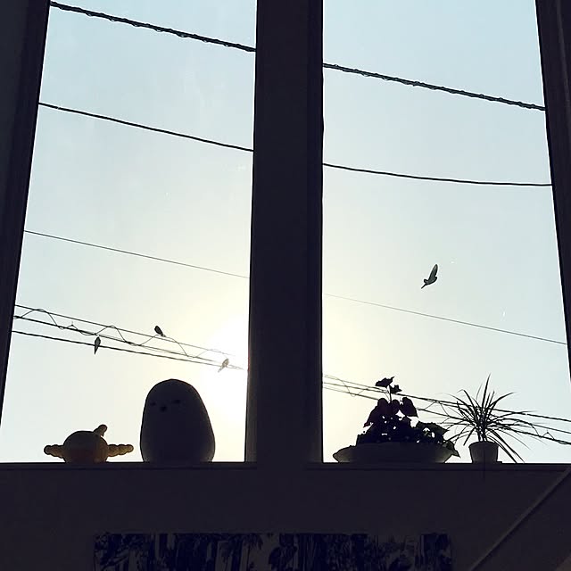 hotaboさんの実例写真