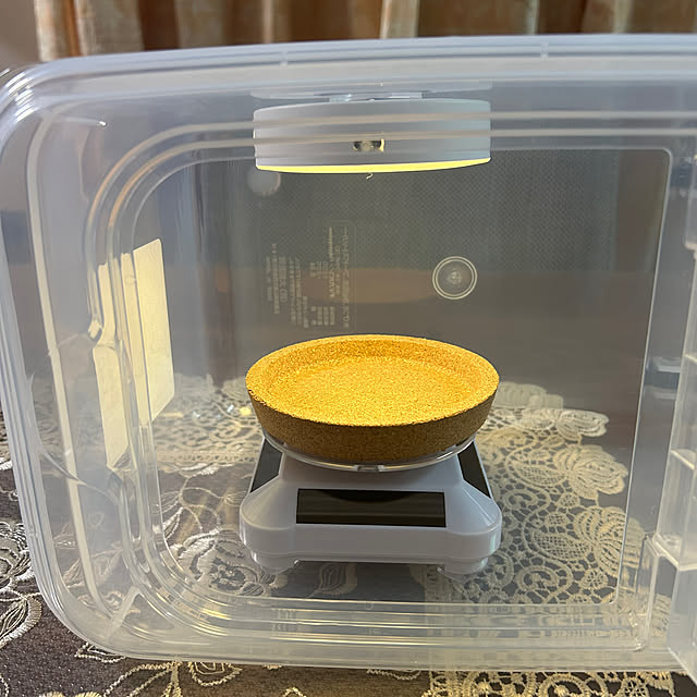 fumikoiさんの部屋