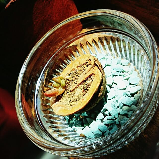 cocomilkさんの実例写真