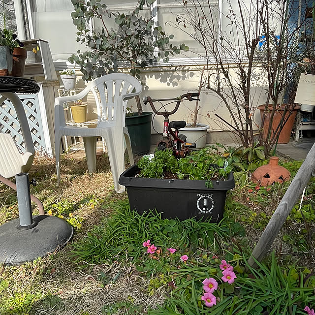 hanaさんの実例写真