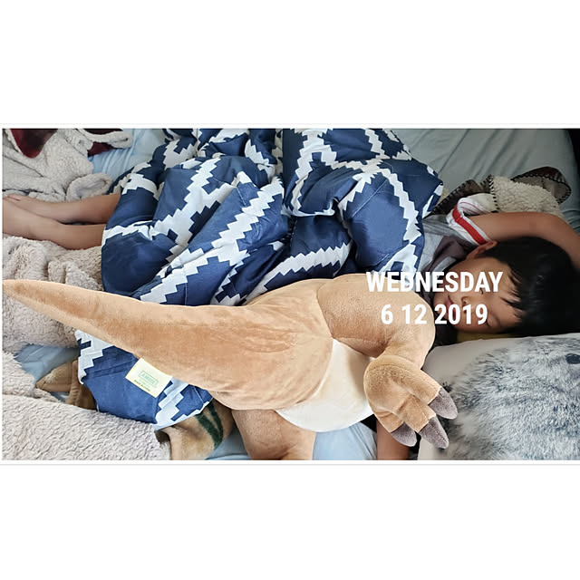ciiiさんの実例写真