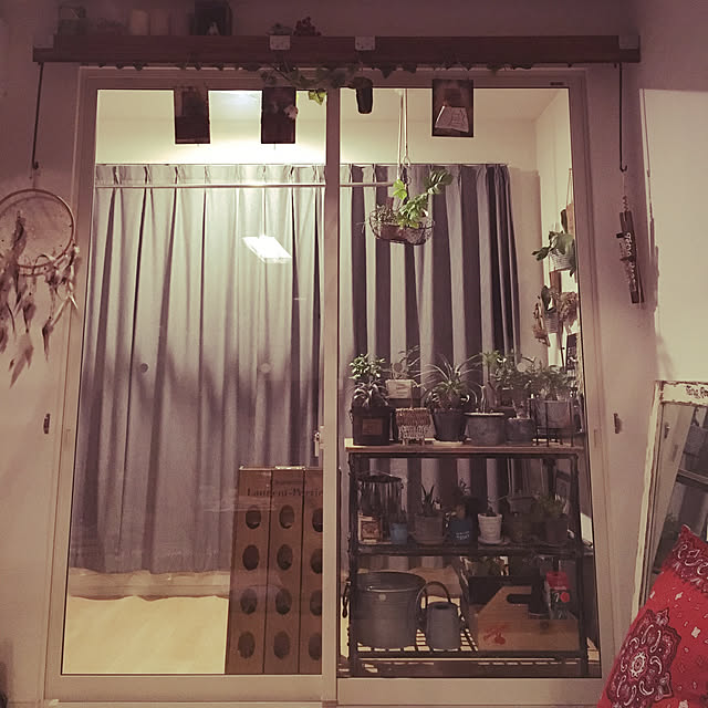 tetra163さんの実例写真