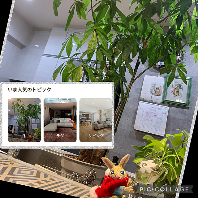Aqettyさんの部屋
