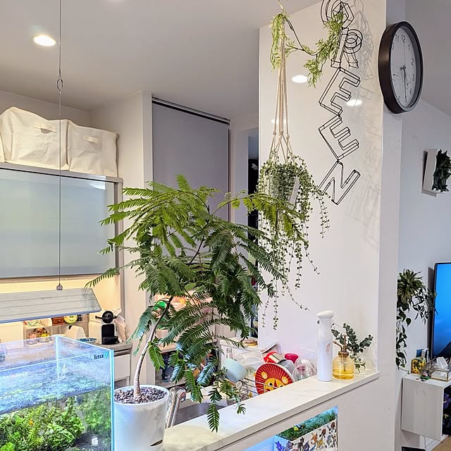 tomatopapaさんの部屋