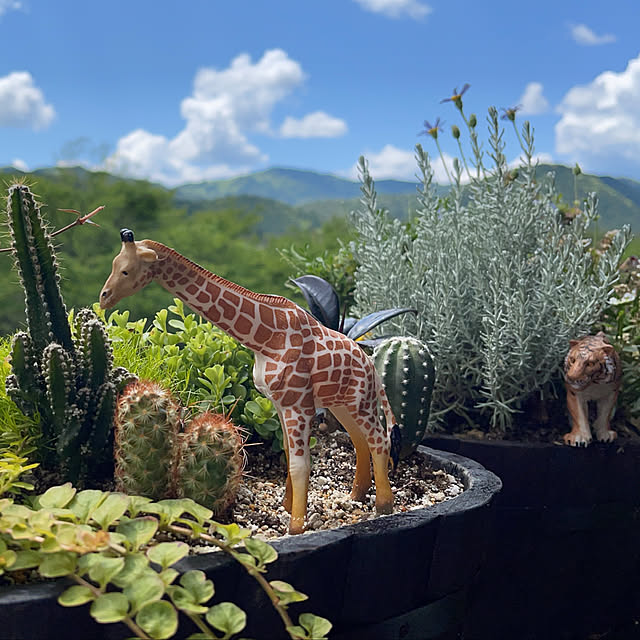 mamanさんの実例写真