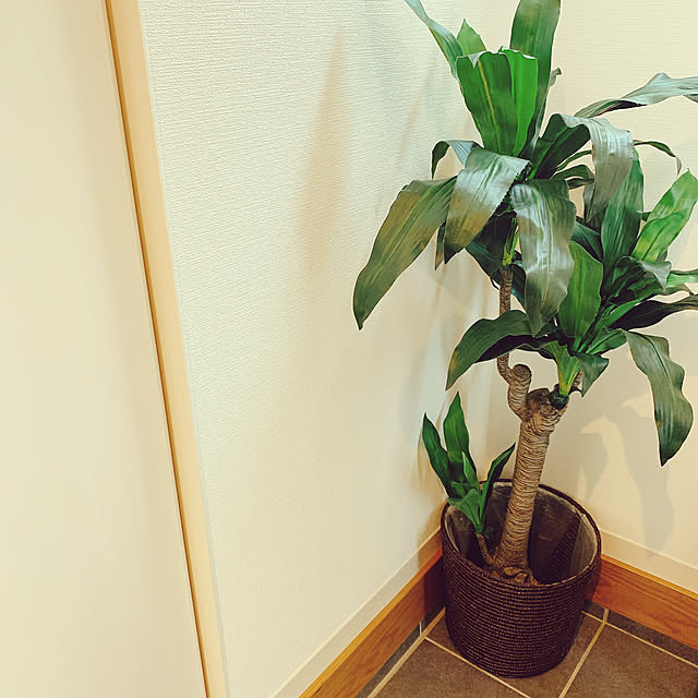 o-mamaさんの実例写真