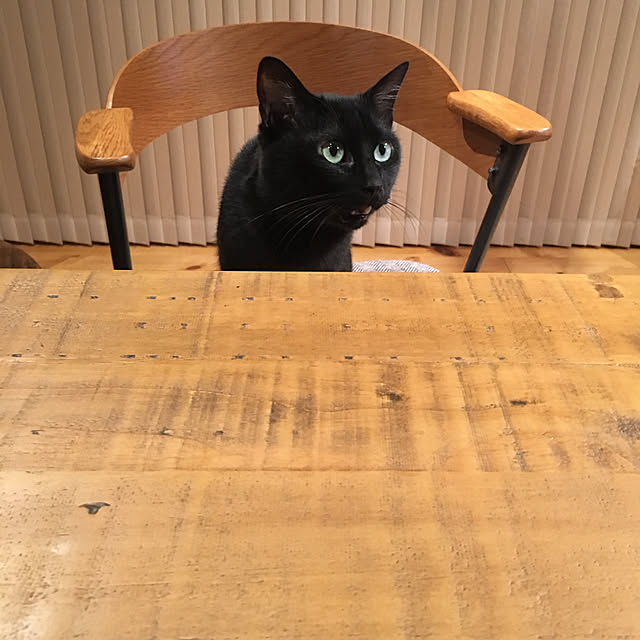 pitaさんの実例写真