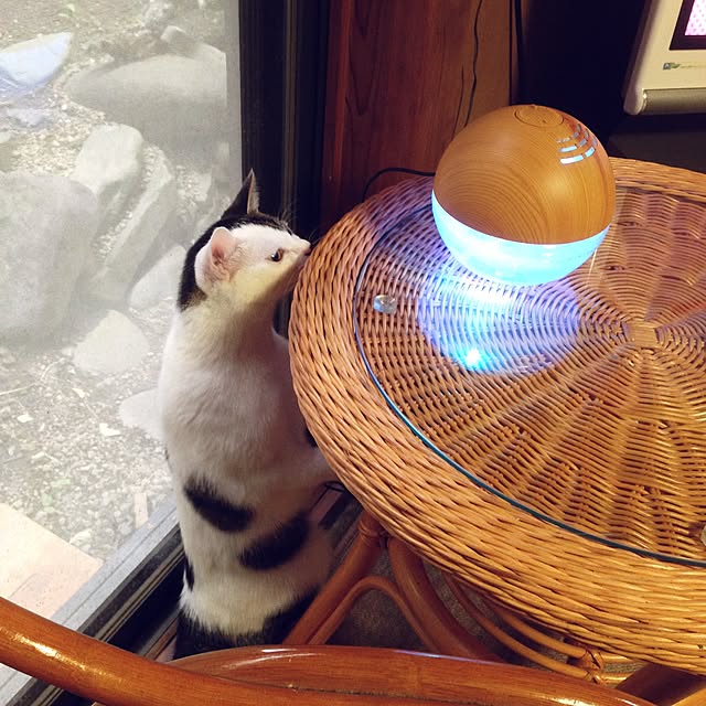 yocchiさんの実例写真