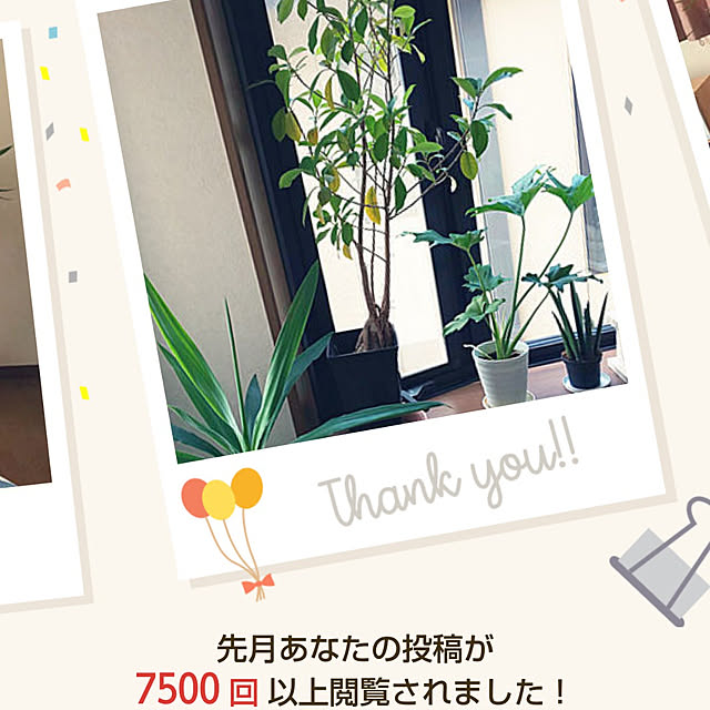yumiyumiさんの実例写真