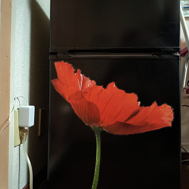 iara9さんの実例写真