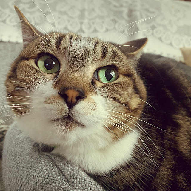 mariさんの実例写真