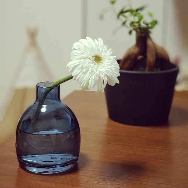 nonさんの実例写真