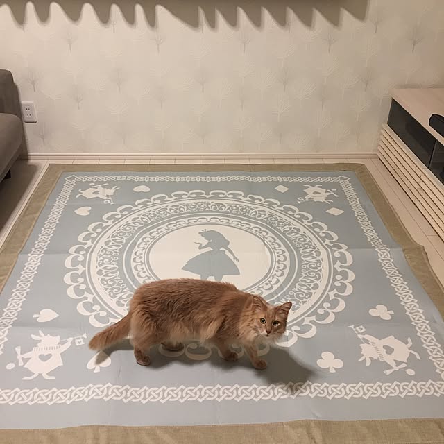 mofucatさんの実例写真