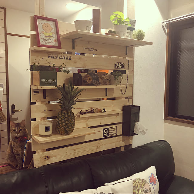 Aiさんの実例写真