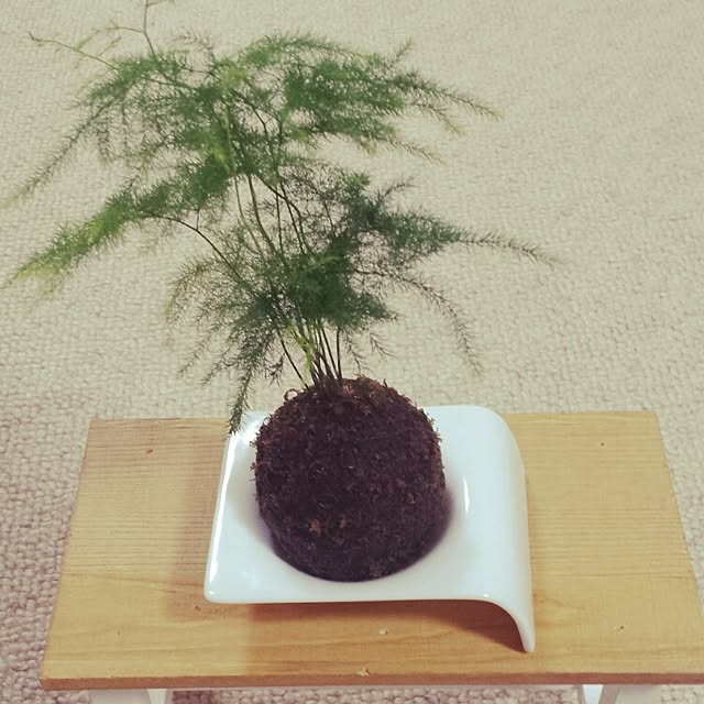 Tomokoさんの実例写真