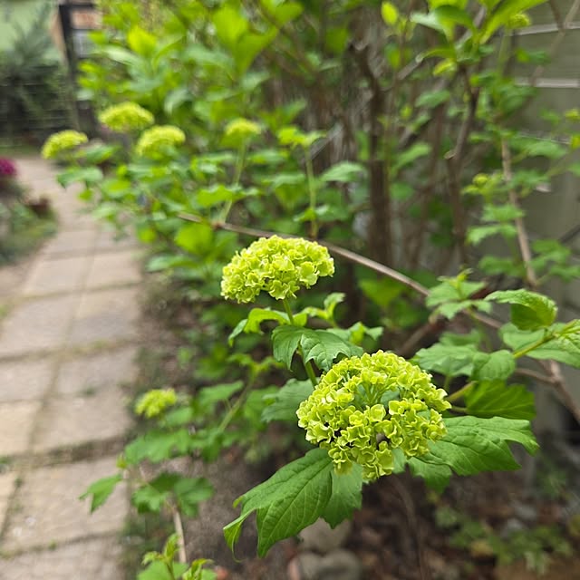 min_nimさんの部屋