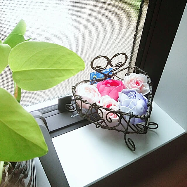 mintさんの実例写真