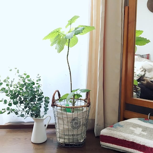 chocoanさんの実例写真