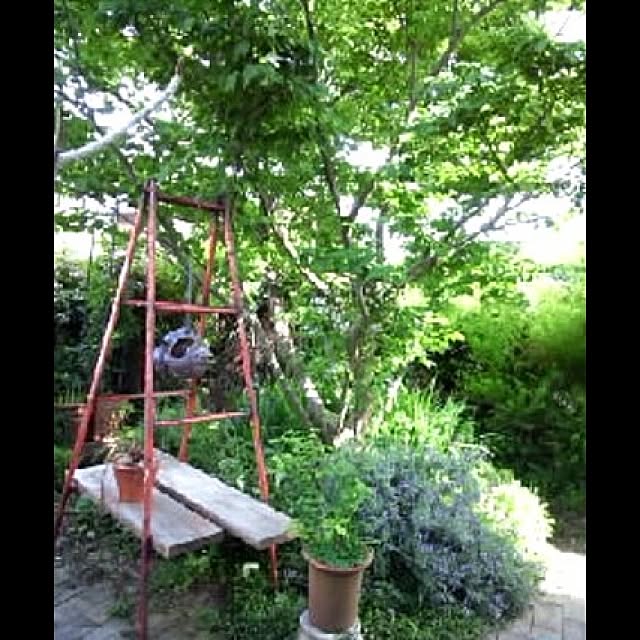 20rose_mamiさんの実例写真