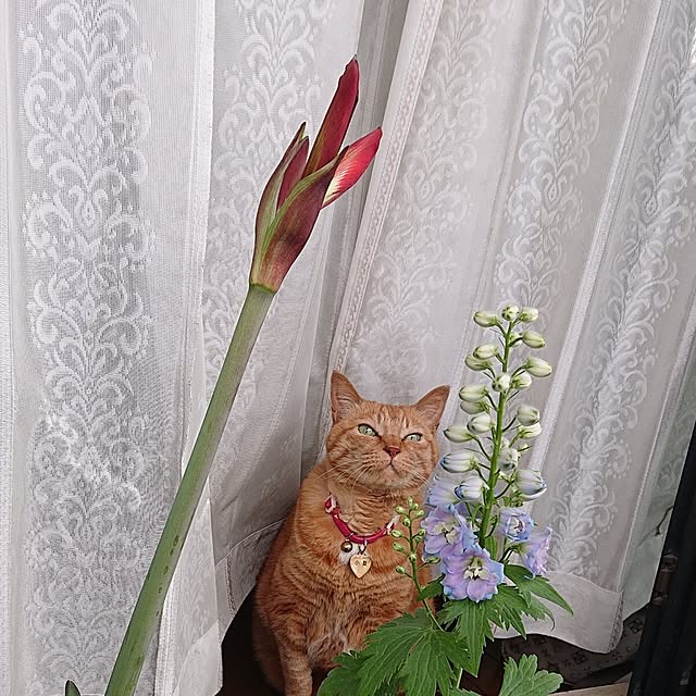 NOAHさんの部屋