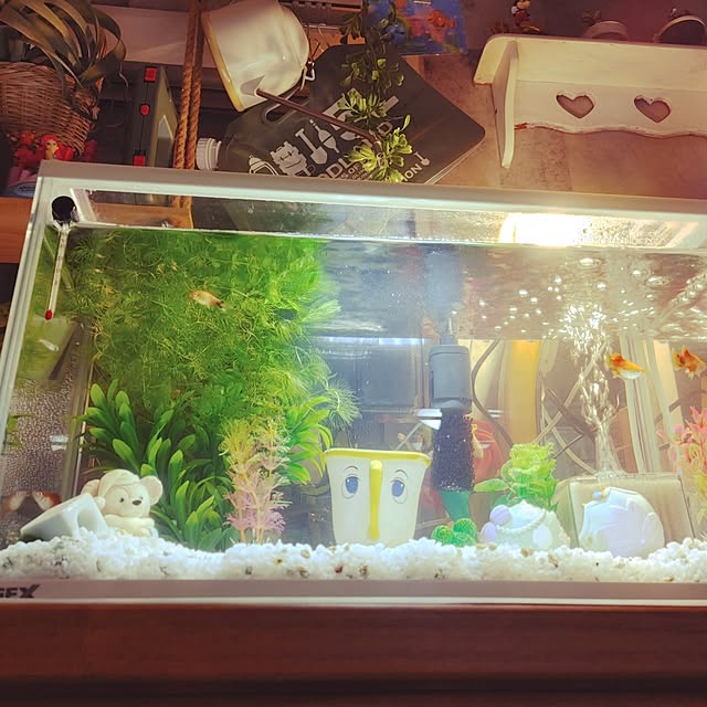 hamichanさんの部屋