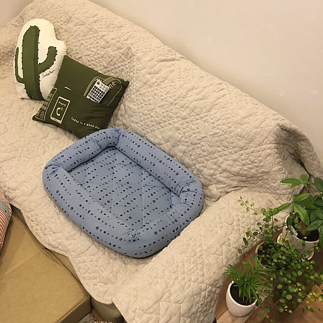 youmitsuさんの実例写真